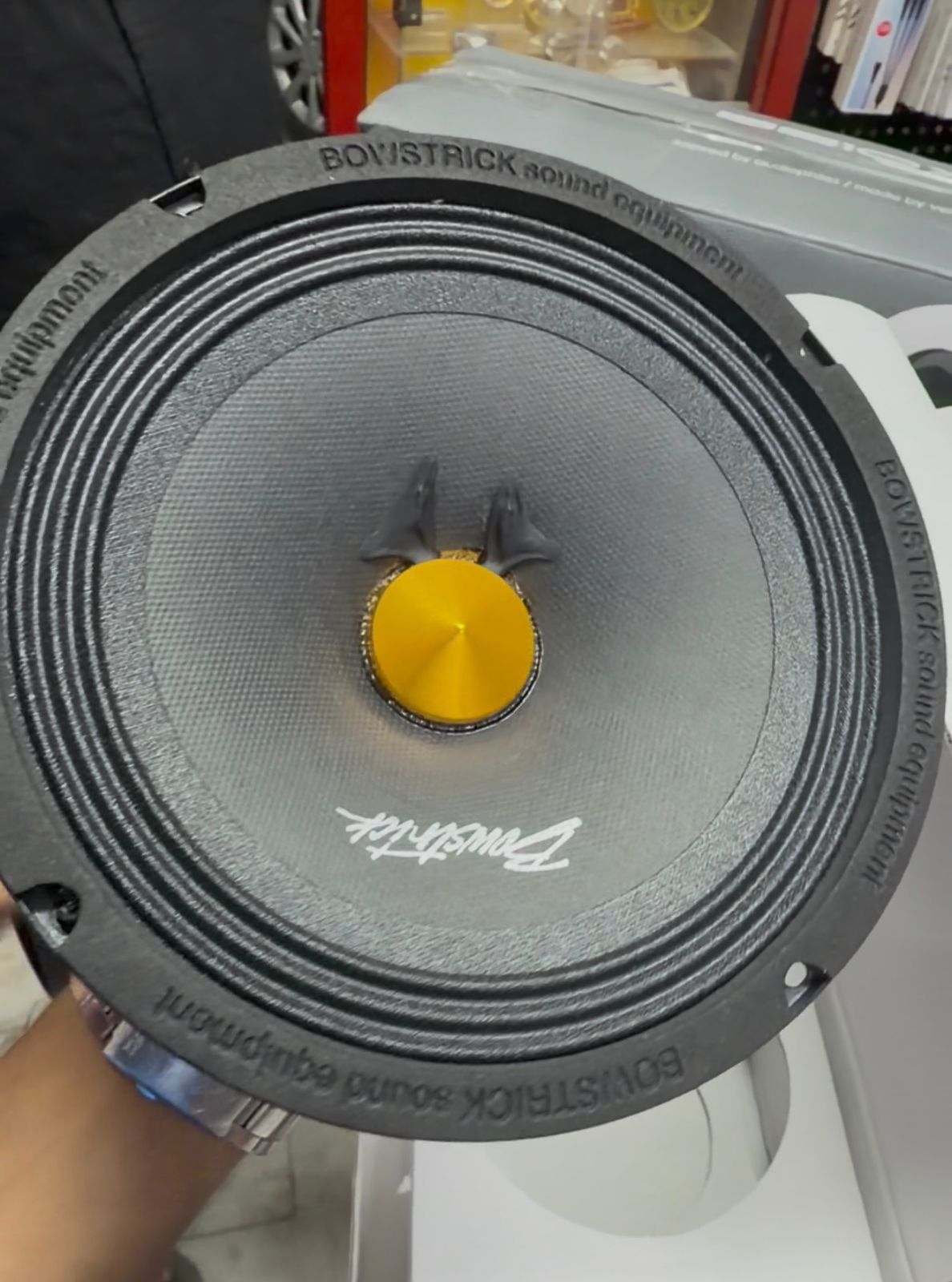 Bowstrik 150 watt RMS Horizon series midrange speakers 6.5 inch